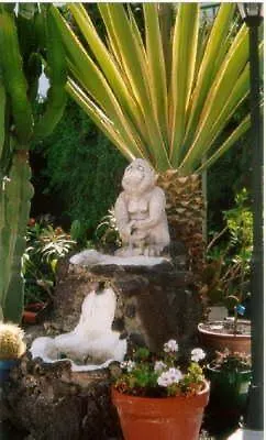 San Francisco Park Appartement *